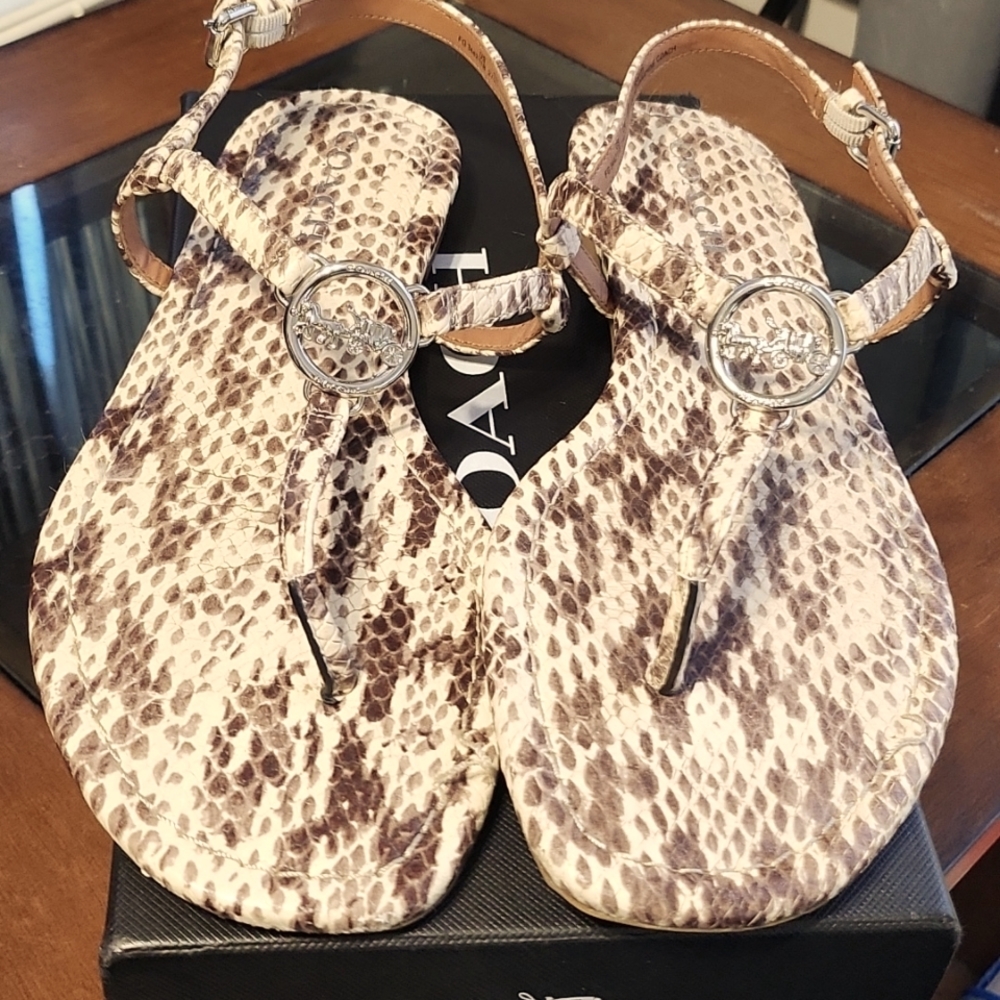 🌟COACH Thong Sandal🌟